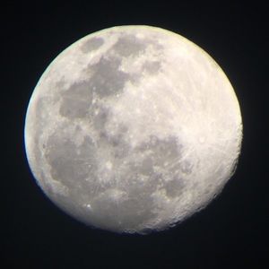 Meet your Posher, Melinda